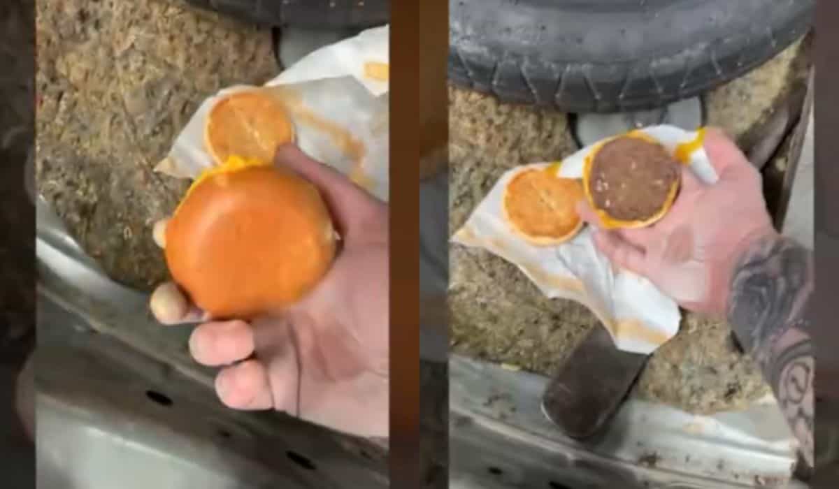 Video: McDonald's hamburger remains intact after years in a car