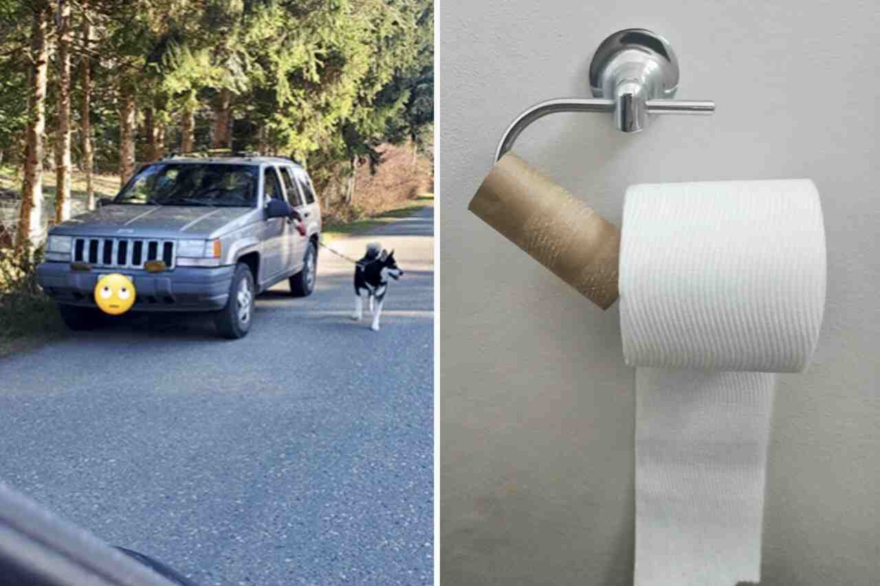 15 photos of people who reached the height of laziness