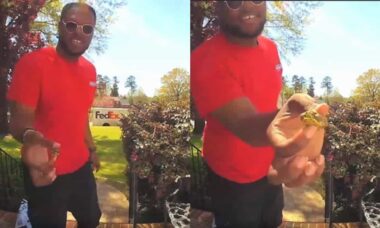 Vídeo fofo: entregador se encanta ao encontrar mini tartaruga