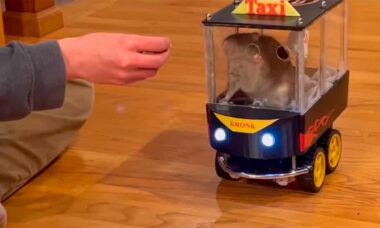 Reprodução Instagram