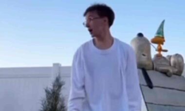 Museu Schulz/Snoopy - reprodução Instagram